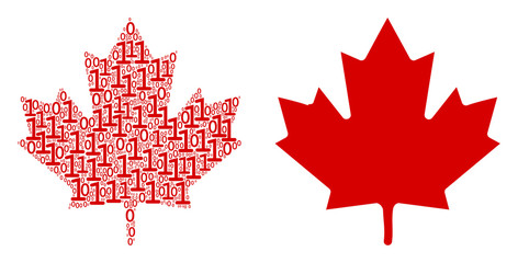 Maple leaf composition icon of zero and null digits in variable sizes. Vector digital symbols are united into maple leaf mosaic design concept.