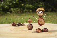 Funny Human Shape Character Or Figurine Made With Chestnuts On A Wooden Background In A Sunny Day