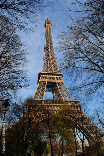 Zdjęcie XXL Wieża Eiffla z parku