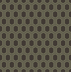 Abstract geometric line hexagon seamless pattern background