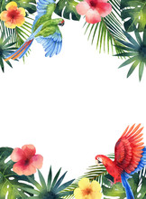 Watercolor Vector Card With Red Parrot, Tropical Leaves And Flowers Isolated On White Background.