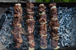 © strigana - Appetizing barbecue shish kebab fried on charcoal grill outdoor