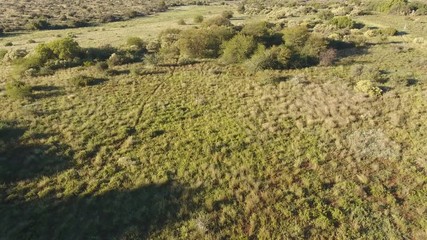 Canvas Print - Aerial view of the African savannah, Northern Cape, South Africa