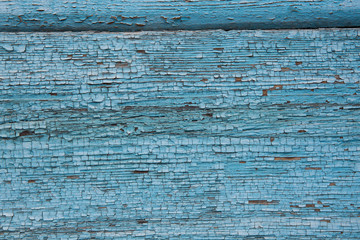 A piece of a blue wooden wall. Peeling paint