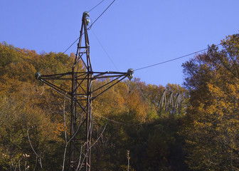 Electric pole with wires on a background of forest and sky