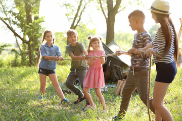 Poster - Little children pulling rope outdoors. Summer camp