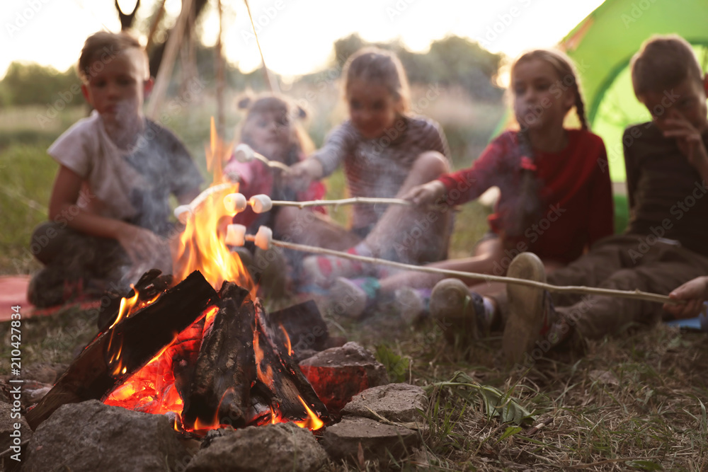 Little children frying marshmallows on bonfire. Summer camp - obrazy, fototapety, plakaty 
