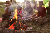Fototapeta  - Little children frying marshmallows on bonfire. Summer camp