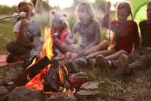 Little Children Frying Marshmallows On Bonfire. Summer Camp