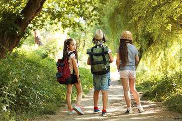 Wall Mural - little children with backpacks on path in wilderness. summer camp
