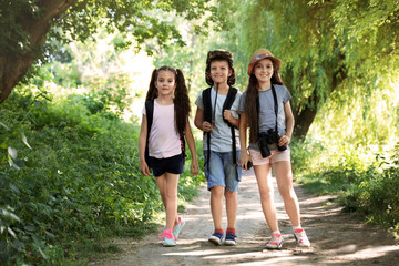 Sticker - Little children with backpacks on path in wilderness. Summer camp