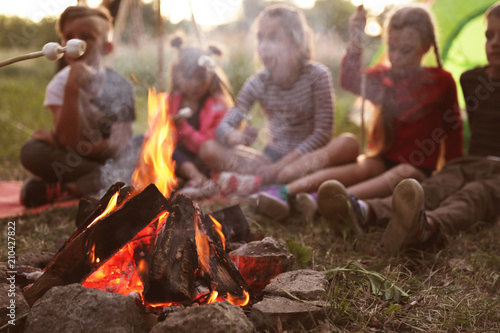 Fototapeta Małe dzieci smaży marshmallows na ognisku. Obóz letni