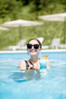© rh2010 - Beautiful woman in black swimsuit and sunglasses swimming with cocktail in the water pool outdoors
