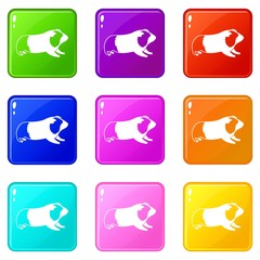 Sticker - Hamster icons of 9 color set isolated vector illustration