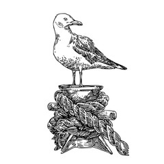 Seagull on mooring. Sketch. Engraving style. Vector illustration.