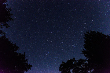 lostpinestexasnightsky6