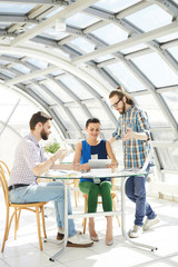 Wall Mural - Three young and contemporary employees discussing online project or preparing for seminar