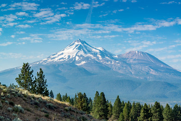 Wall Mural - mt shasta in california early morning at the beginning of summer
