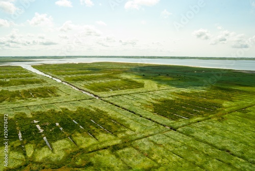 Fotografia, Obraz Weite an der Nordseeküste, Salzwiesen, Entwässerungsgräben, Küste, Schleswig-Hol