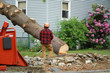 © nd700 - manual worker removing tree in residential area