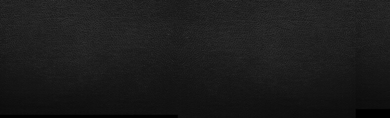 Wall Mural - Panorama of Black leather texture and background