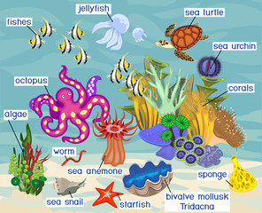Wall Mural - Ecosystem of coral reef with different marine inhabitants with titles