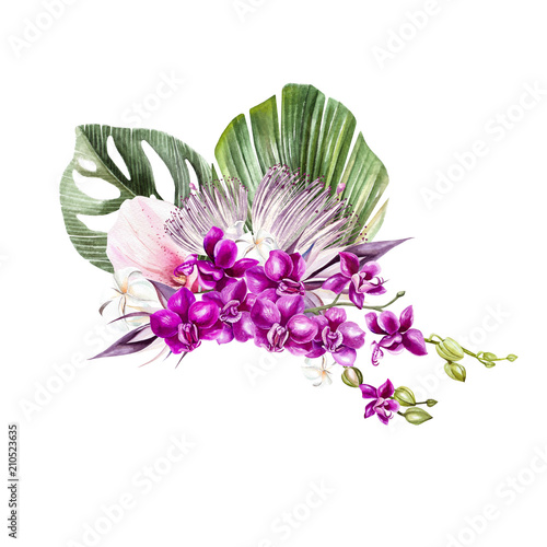 A beautiful watercolor bouquet with leaves of a palm tree, flowers or orchids.