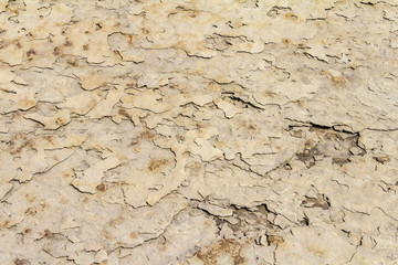 Canvas Print - abstract rock surface detail