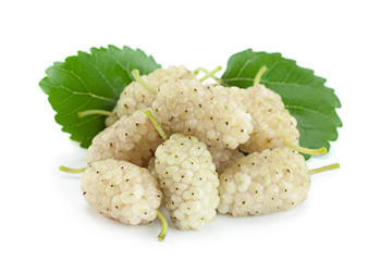 Canvas Print - White Mulberry berry isolated