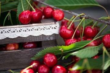 Wall Mural - Cherries with leaves in vintage wooden box on rustic wooden table. Copy space