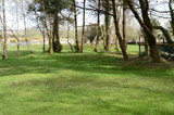 Fototapeta Tęcza - Juicy green grass in early spring