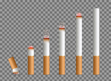 Creative Vector Illustration Of Realistic Cigarette Set Isolated On Transparent Background. Art Design Different Stages Of Burn. Abstract Concept Graphic Element