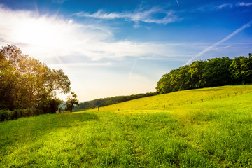 Landscape with green meadows at sunrise