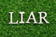 Wood alphabet in word liar on artificial green grass background