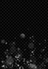 Wall Mural - bokeh light isolated on transparent background. realistic magical effect