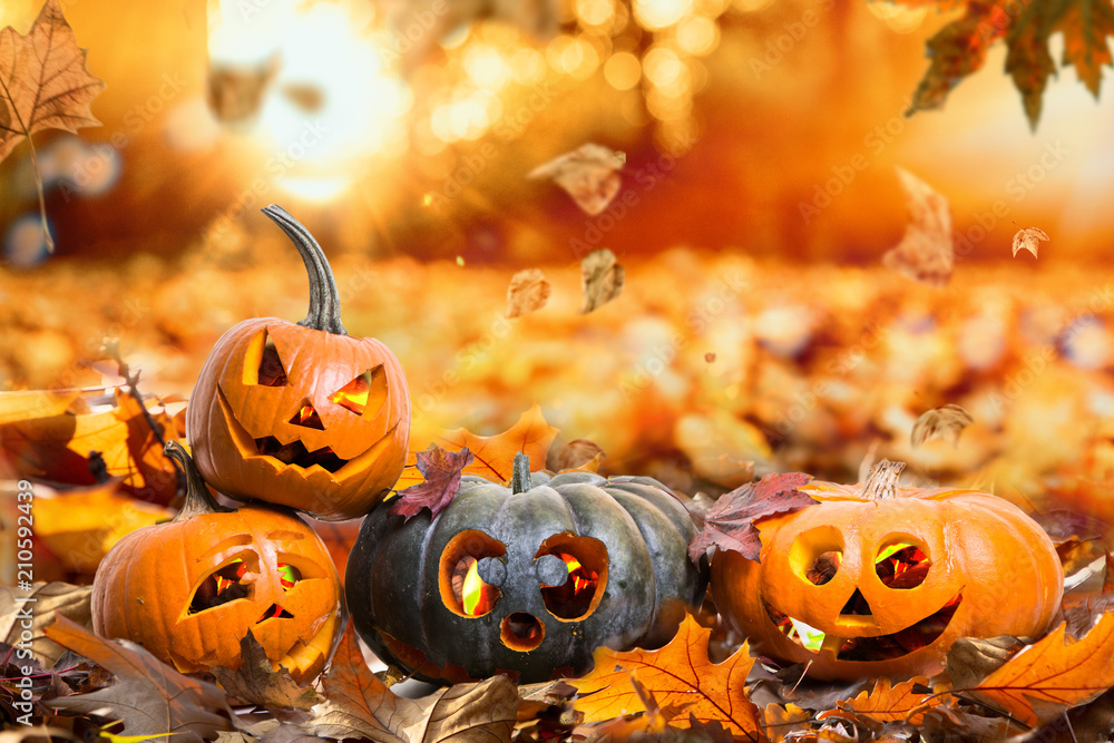 HerbstHintergrund Natur Halloween Kürbisse - obrazy, fototapety, plakaty 