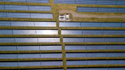 Wall Mural - Aerial drone view of solar panels at a solar energy generation farm