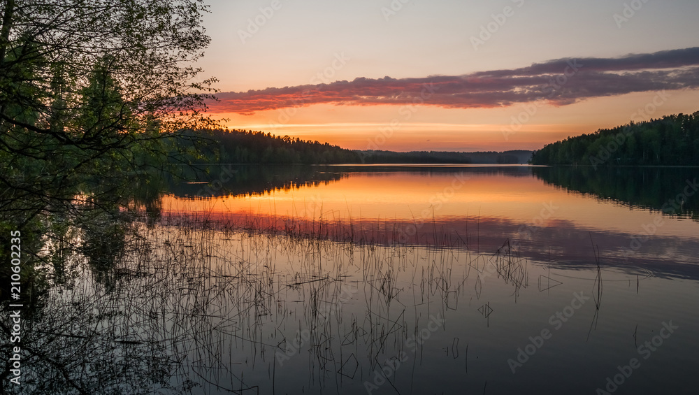 Beautiful sunset on the lake. Reeds in the water, forest and red orange and pink cloudy sky. - obrazy, fototapety, plakaty 