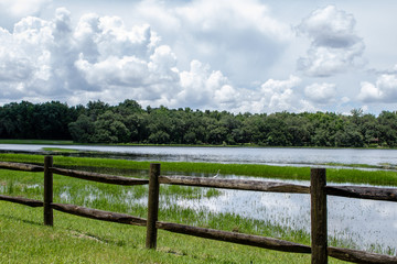 Wall Mural - Withlacoochee State Forest