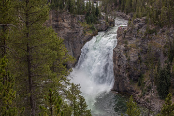  The Lower Falls at the Grand Canyon of the Yellowstone