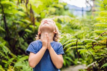 Cute little boy praying in the woods