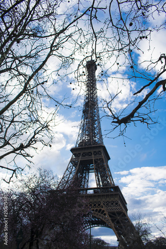 Zdjęcie XXL Peering Up at Eiffel Tower