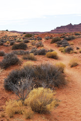 Wildcat Trail in Monument Valley