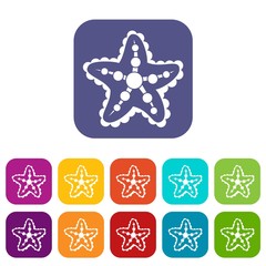 Sticker - Starfish icons set vector illustration in flat style in colors red, blue, green, and other