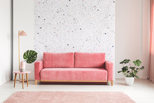 Pink Couch Between Plant And Lamp In Bright Living Room Interior With Patterned Wall. Real Photo