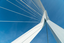 Erasmus Bridge In Rotterdam