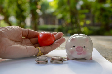 piggy save money on hand, save money
