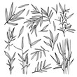 Bamboo black outline illustrations. Bamboo leaves tree set. Botanical hand drawn collection
