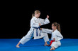 Karate martial Arts Two little girls demonstrate martial arts working together.