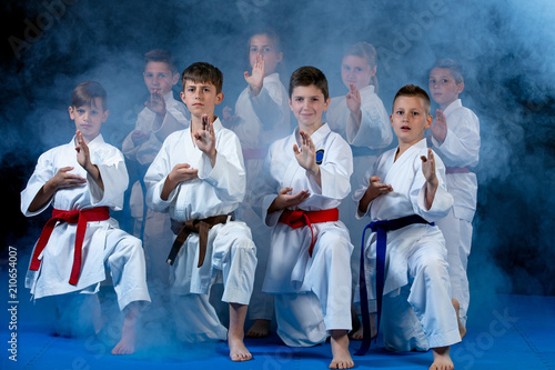 Dekoracja na wymiar  mlode-piekne-odnoszace-sukcesy-wieloetyczne-dzieci-karate-w-pozycji-karate